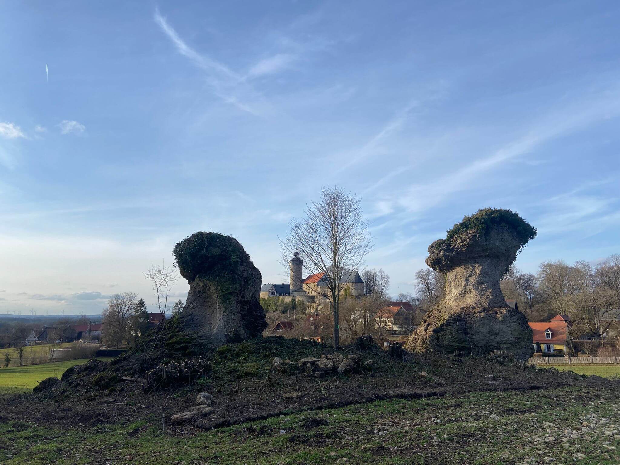 Zschokke-Felsen wieder freigestellt